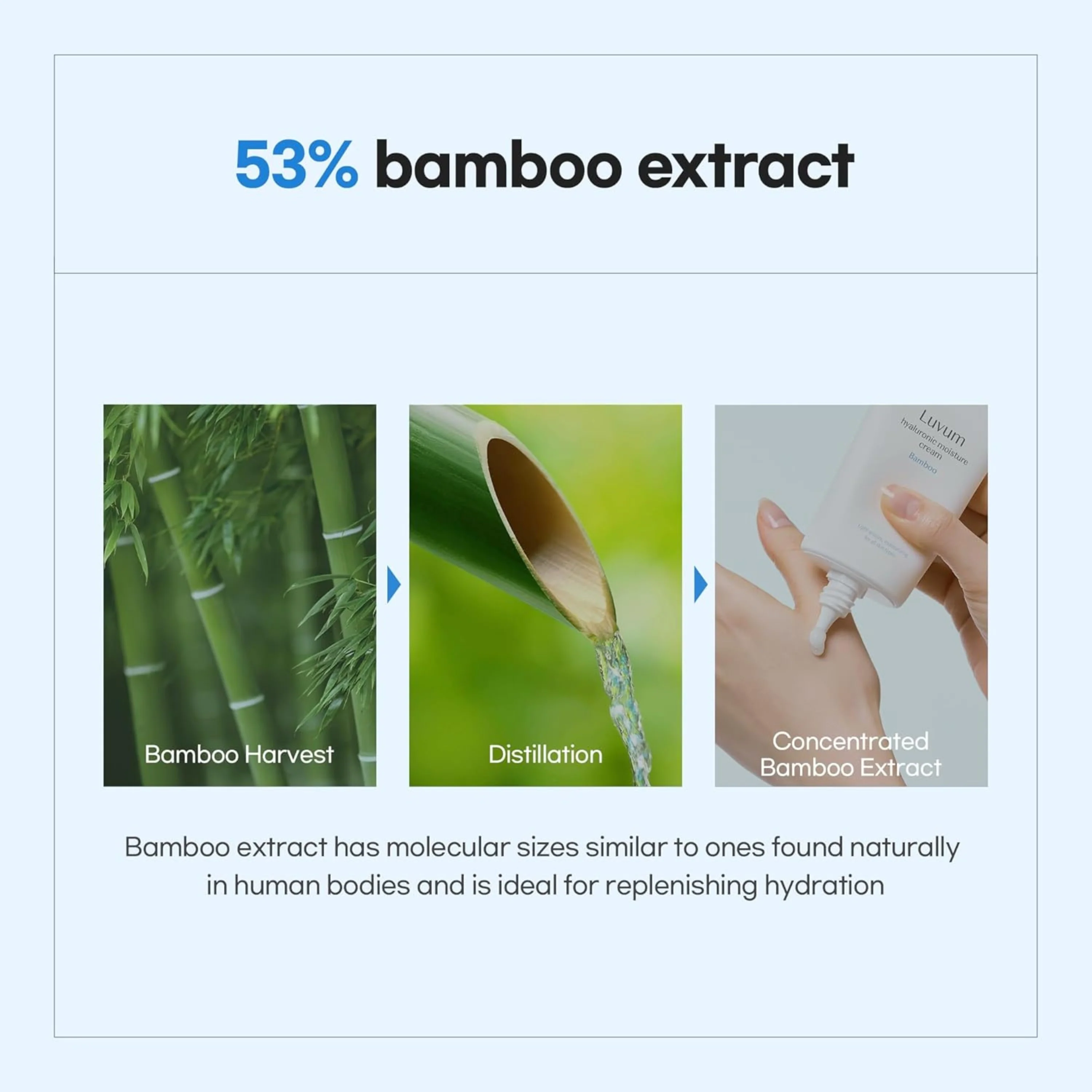 Bamboo Hyaluronic Moisture Cream 70Ml - Image 4