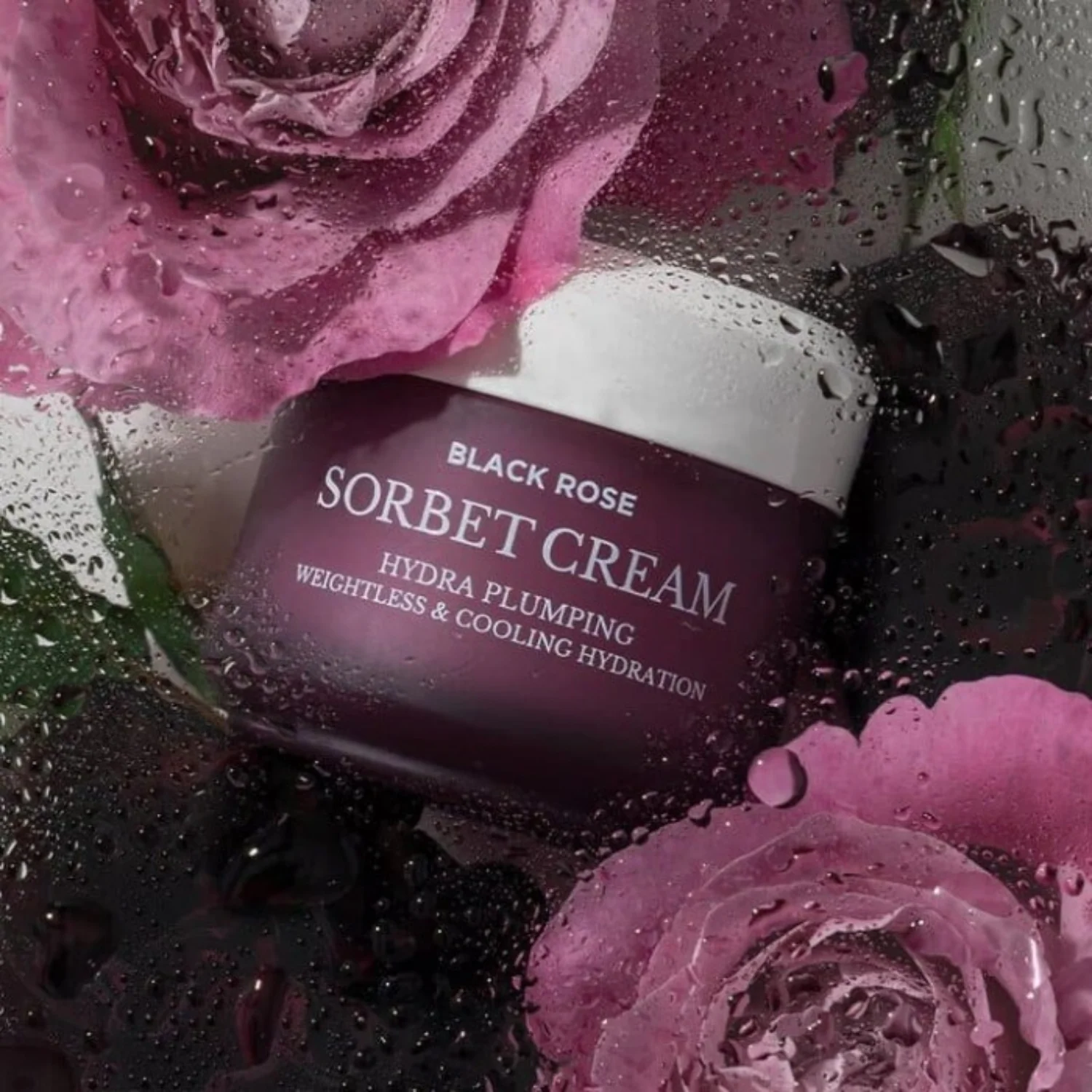 Black Rose Sorbet Cream 50ml - Image 4