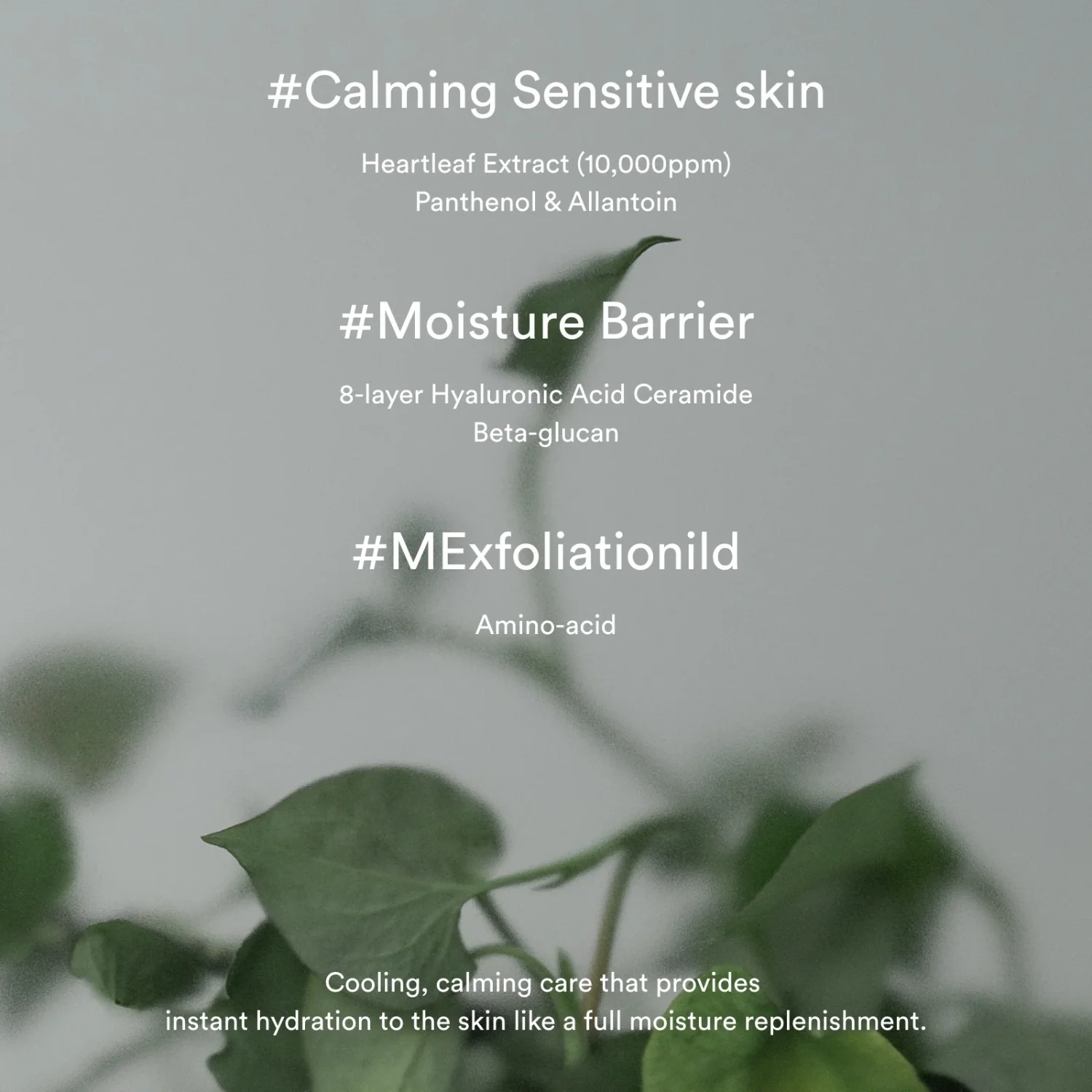 Heartleaf Creme Calming Tube [75ml] - Image 4