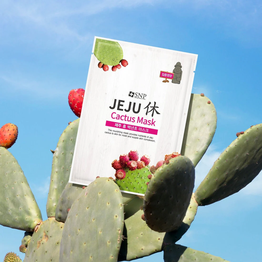 Jeju Cactus Mask 1pc - Image 3