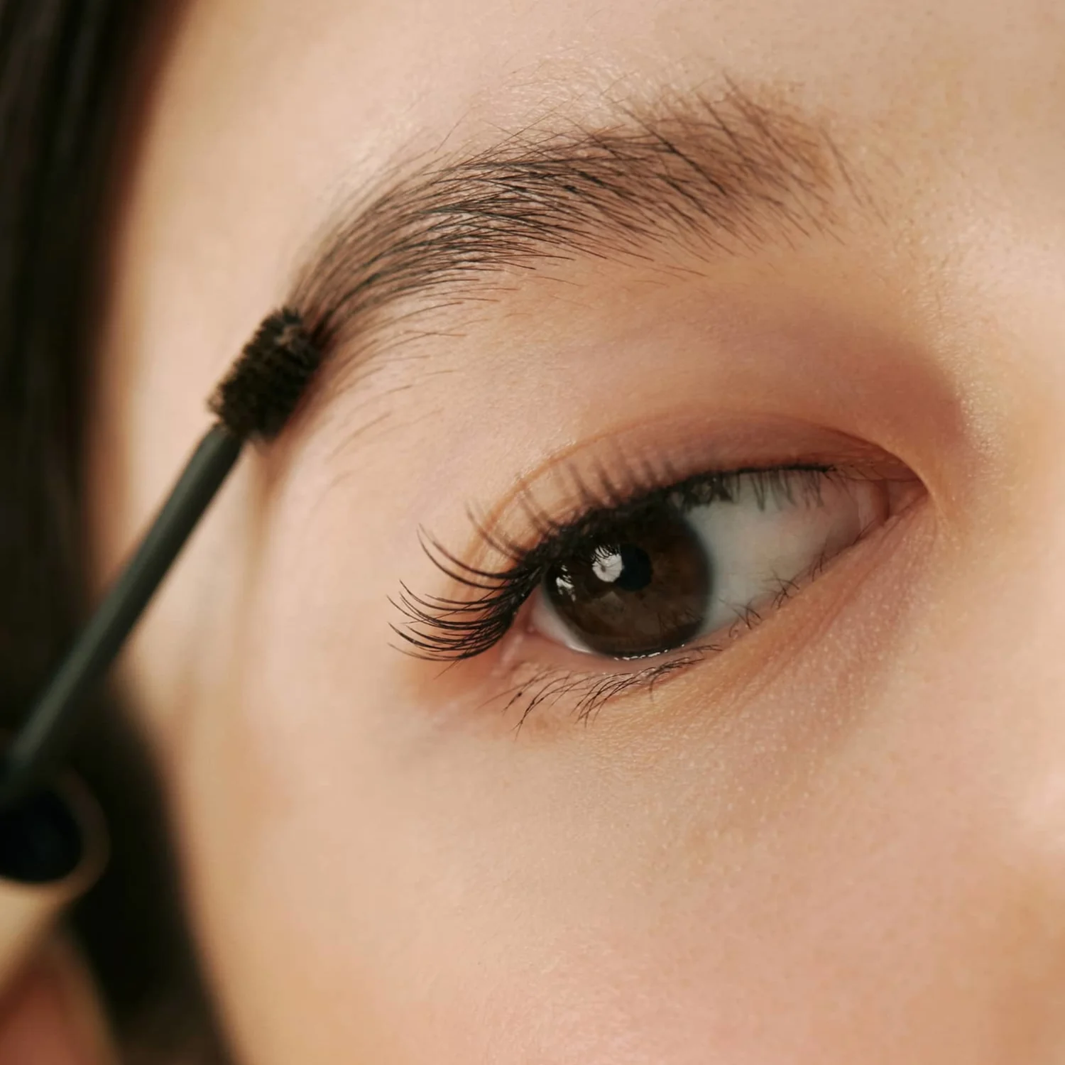 Signature Brow Shaper - Image 4