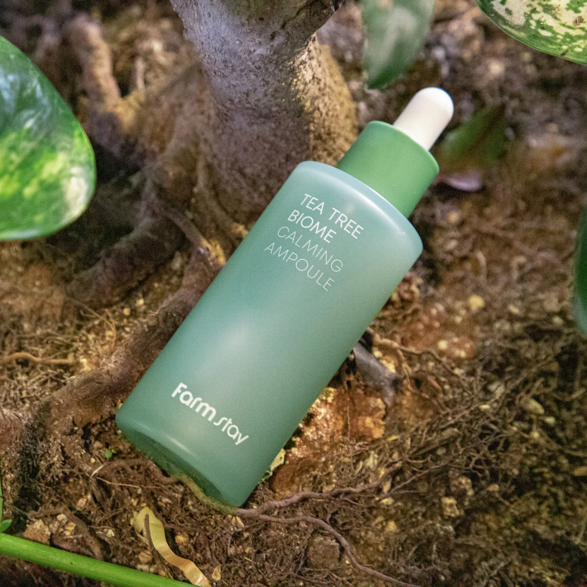 Tea Tree Biome Calming Ampoule 50ml - Image 4
